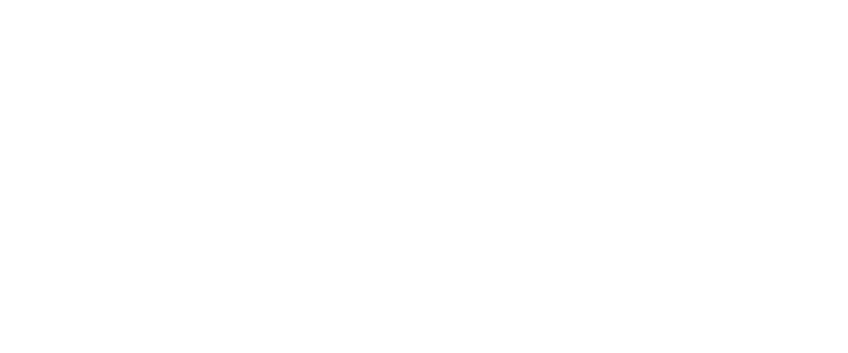 FBS Service Srl